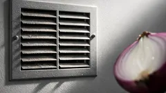 Does rubbing a raw onion on vent grates really remove odors